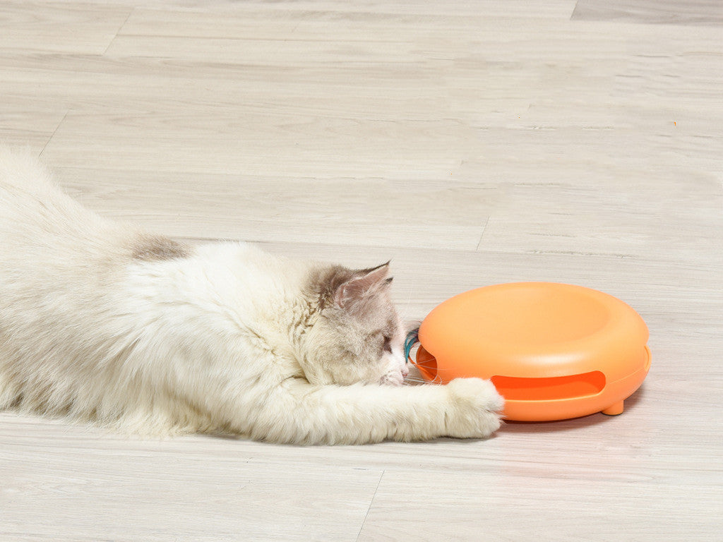 Pet Funny Cat Turntable, Cat Snacks, Food Utensils, Sound Toys - The Pet Supply Store 