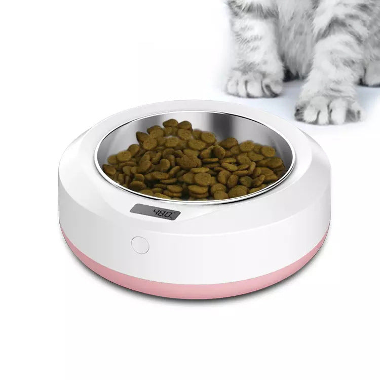 Pet portable automatic feeder - The Pet Supply Store 