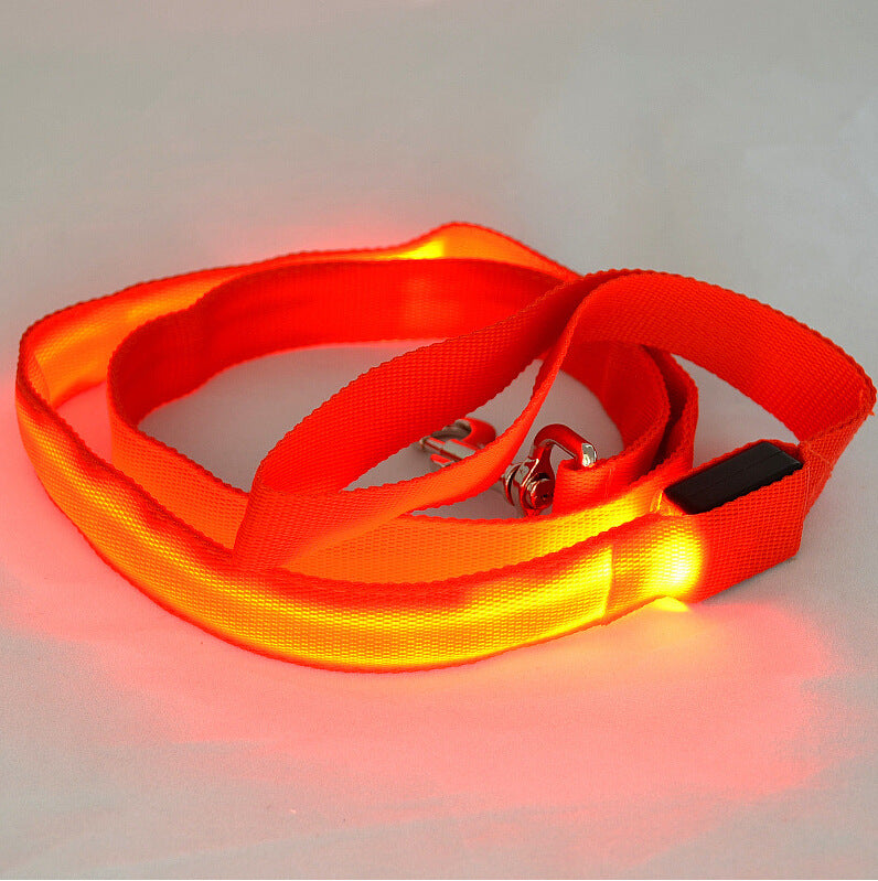 Glowing Pet Leash Glowing Dog LED - The Pet Supply Store 