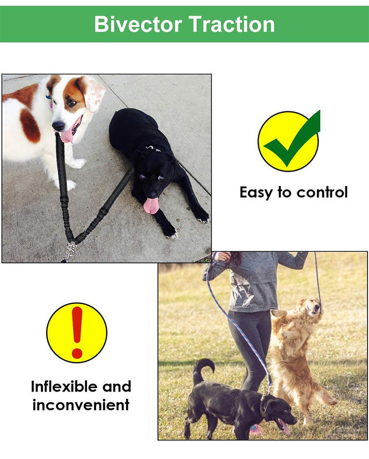 Multipurpose Pet Dual Headed Dog Leash - The Pet Supply Store 