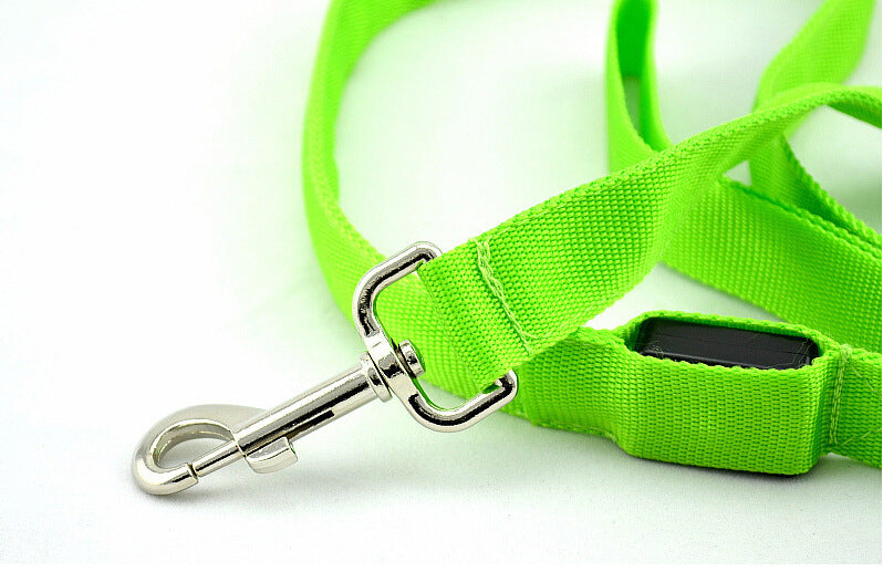 Glowing Pet Leash Glowing Dog LED - The Pet Supply Store 