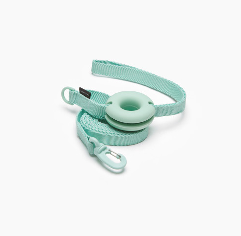 Pet Leash Macaron Ins Wind - The Pet Supply Store 