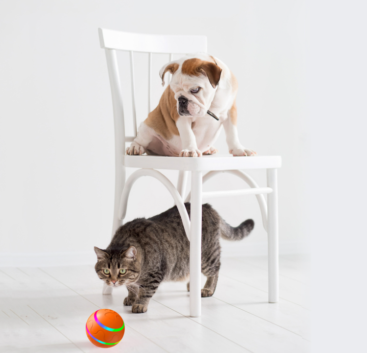 Pet New Cat Wicked Ball Toy Intelligent Ball USB Cat Toys Self Rotating Ball Automatic Rotation Ball - The Pet Supply Store 