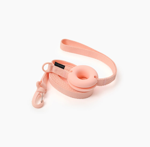 Pet Leash Macaron Ins Wind - The Pet Supply Store 