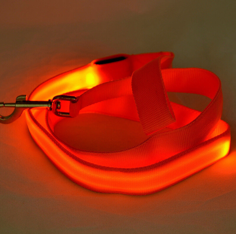 Glowing Pet Leash Glowing Dog LED - The Pet Supply Store 